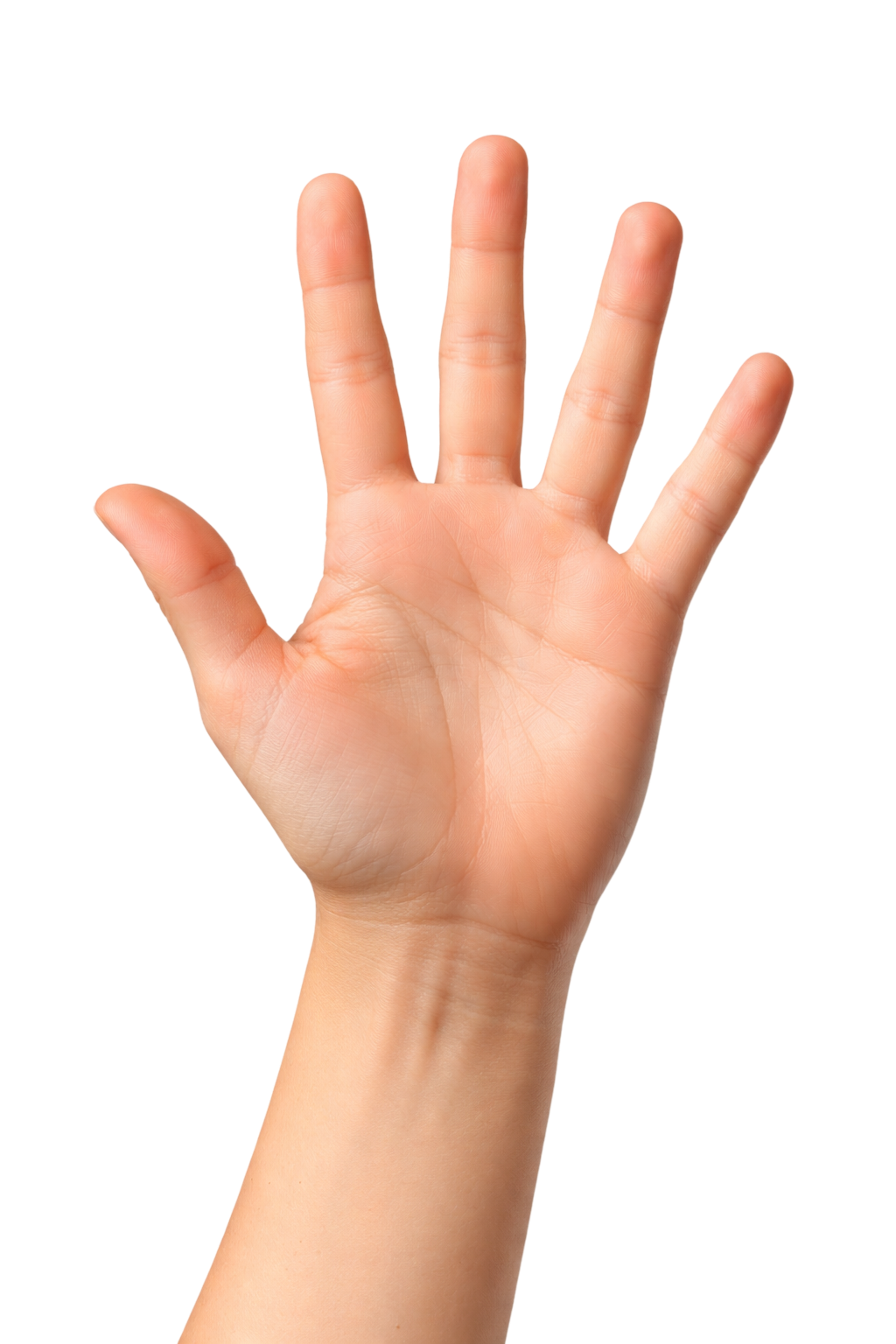 Hand PNG
