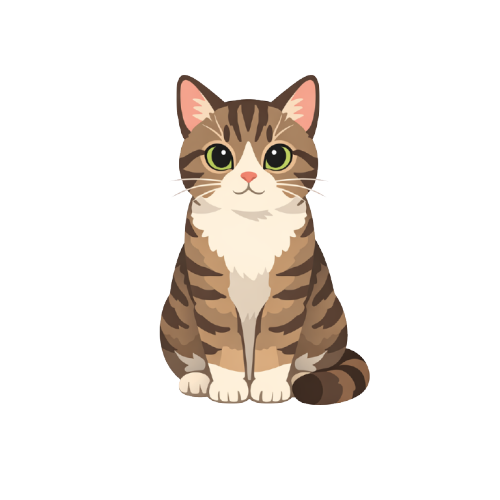 Cat PNG