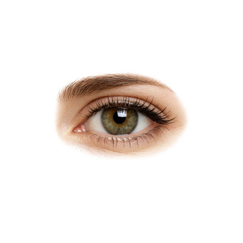 Eye PNG